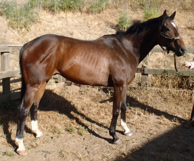 Mhb