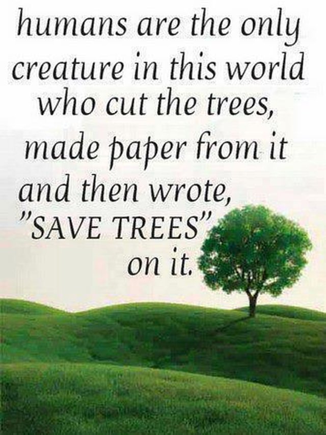 essay on save earth save water essay on save earth save water