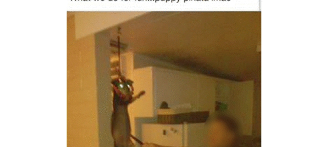 Ydb