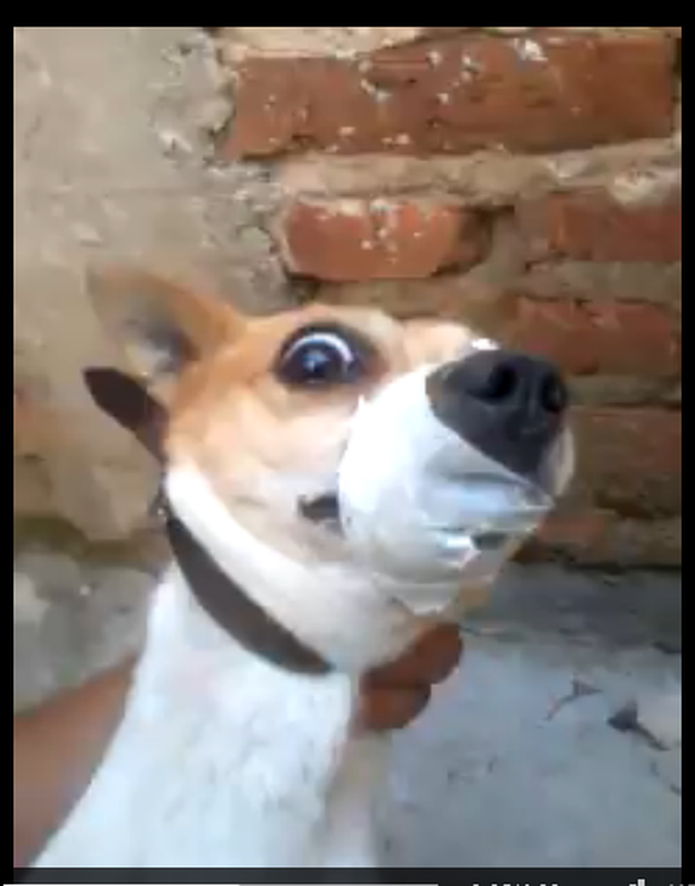 I0b