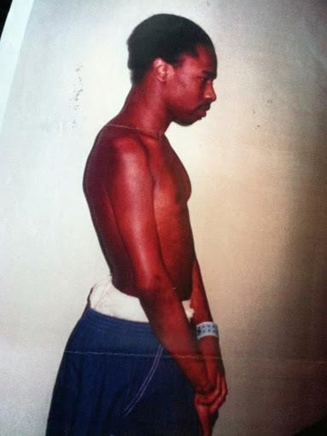 Ibb