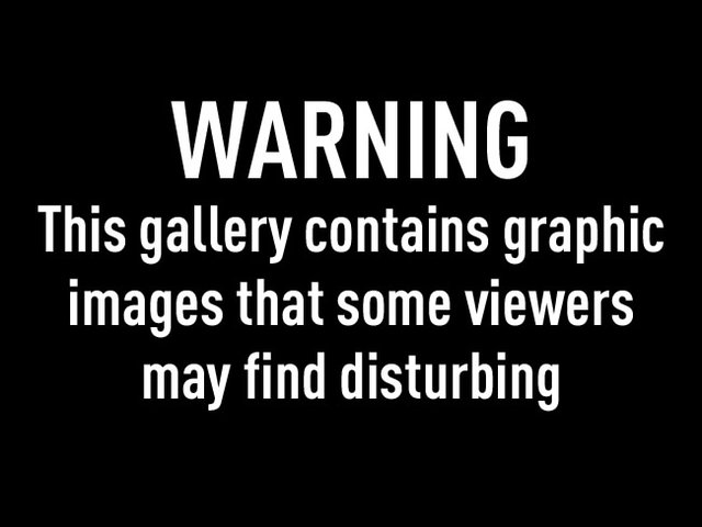 V0b